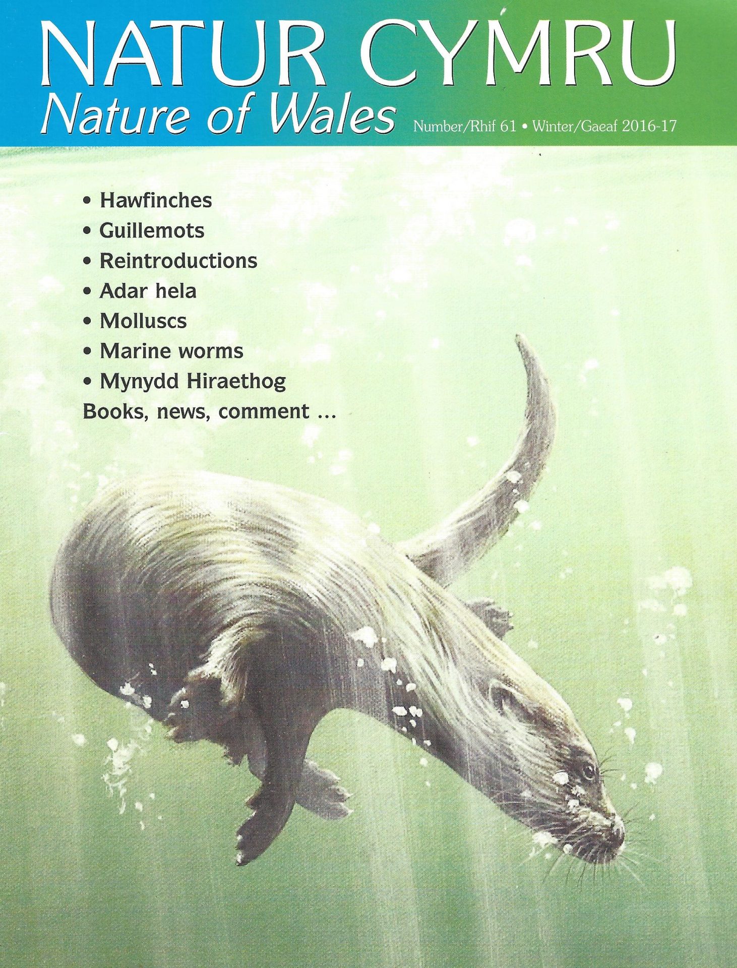 Natur Cymru cover issue 61